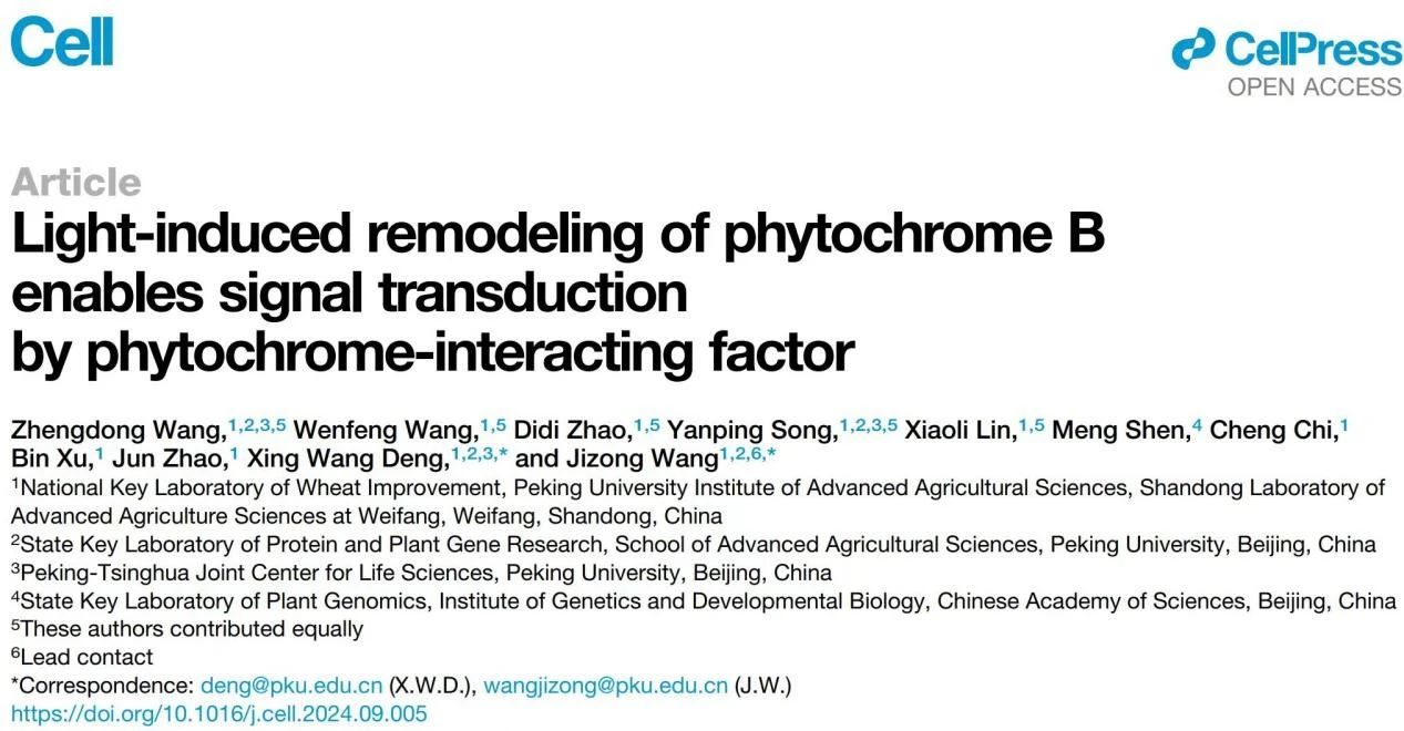 5b8db52620164e36b7151cf24f4a6333.jpg 5b8db52620164e36b7151cf24f4a6333.jpg