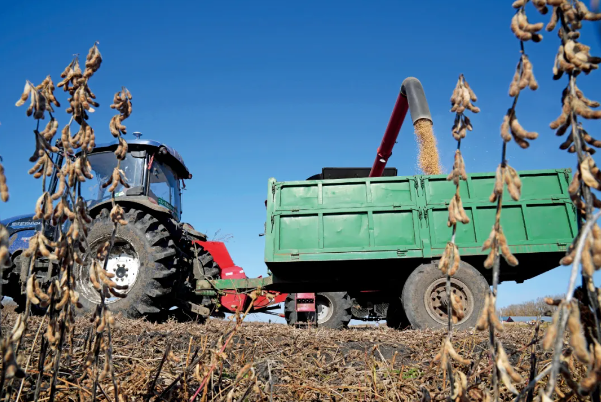 fb8963e2ea634c1f98a15956fe388bff.png fb8963e2ea634c1f98a15956fe388bff.png