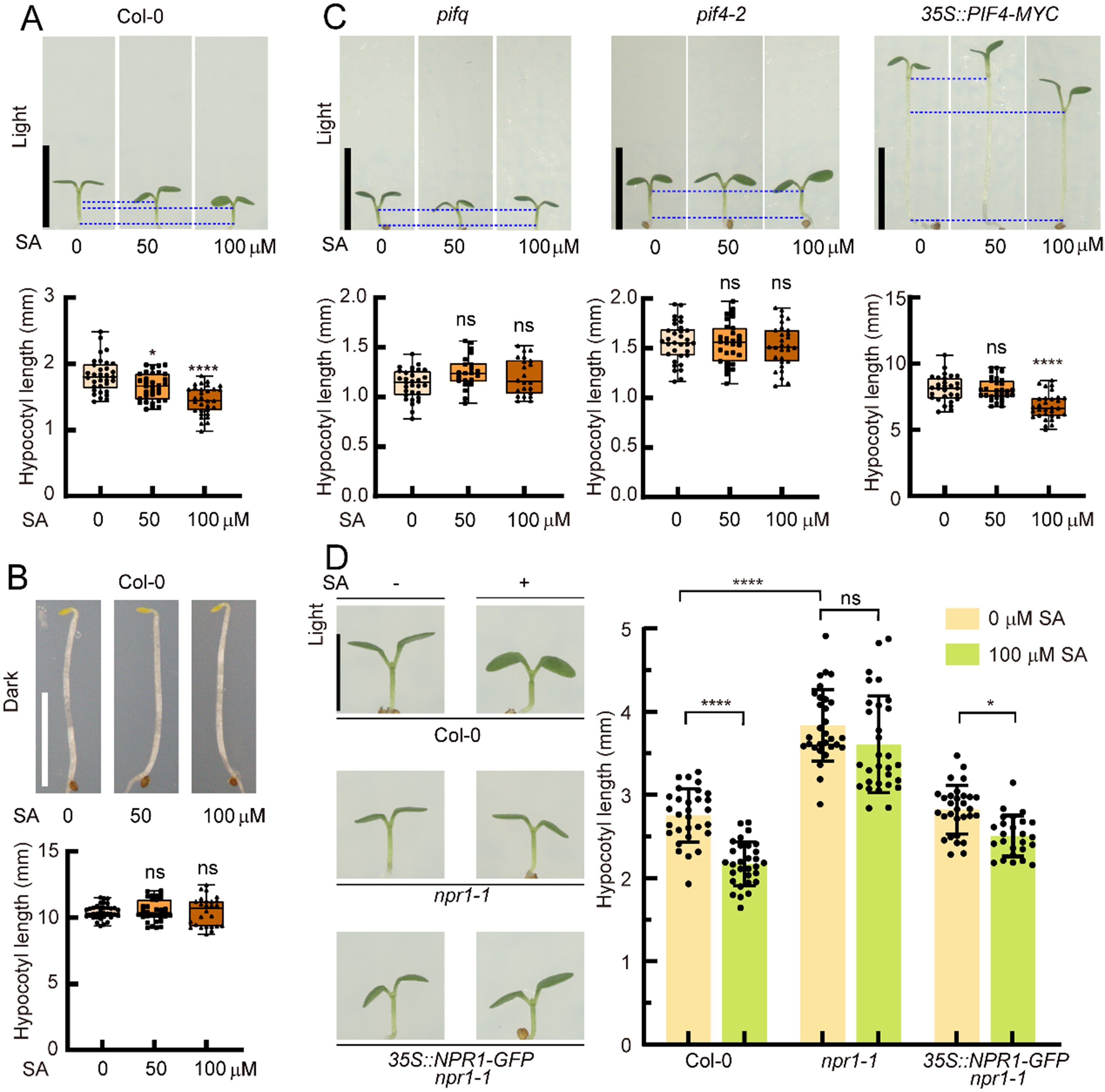 2b29e6c1d3fb4c4fb29a9e26fcdb58ad.jpg 2b29e6c1d3fb4c4fb29a9e26fcdb58ad.jpg