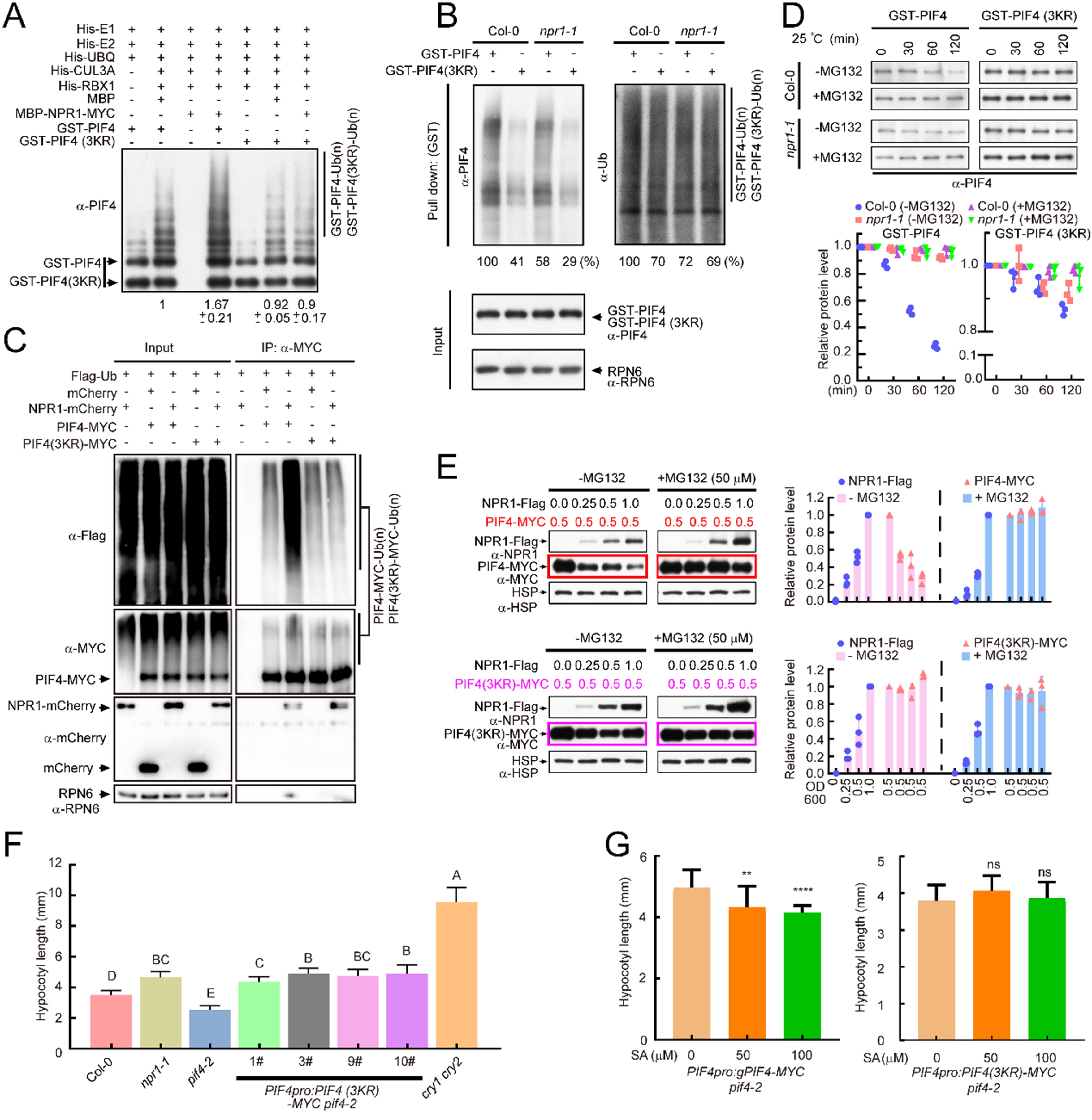 6b8a68500dcb4ec58121c3e40c62f002.jpg 6b8a68500dcb4ec58121c3e40c62f002.jpg