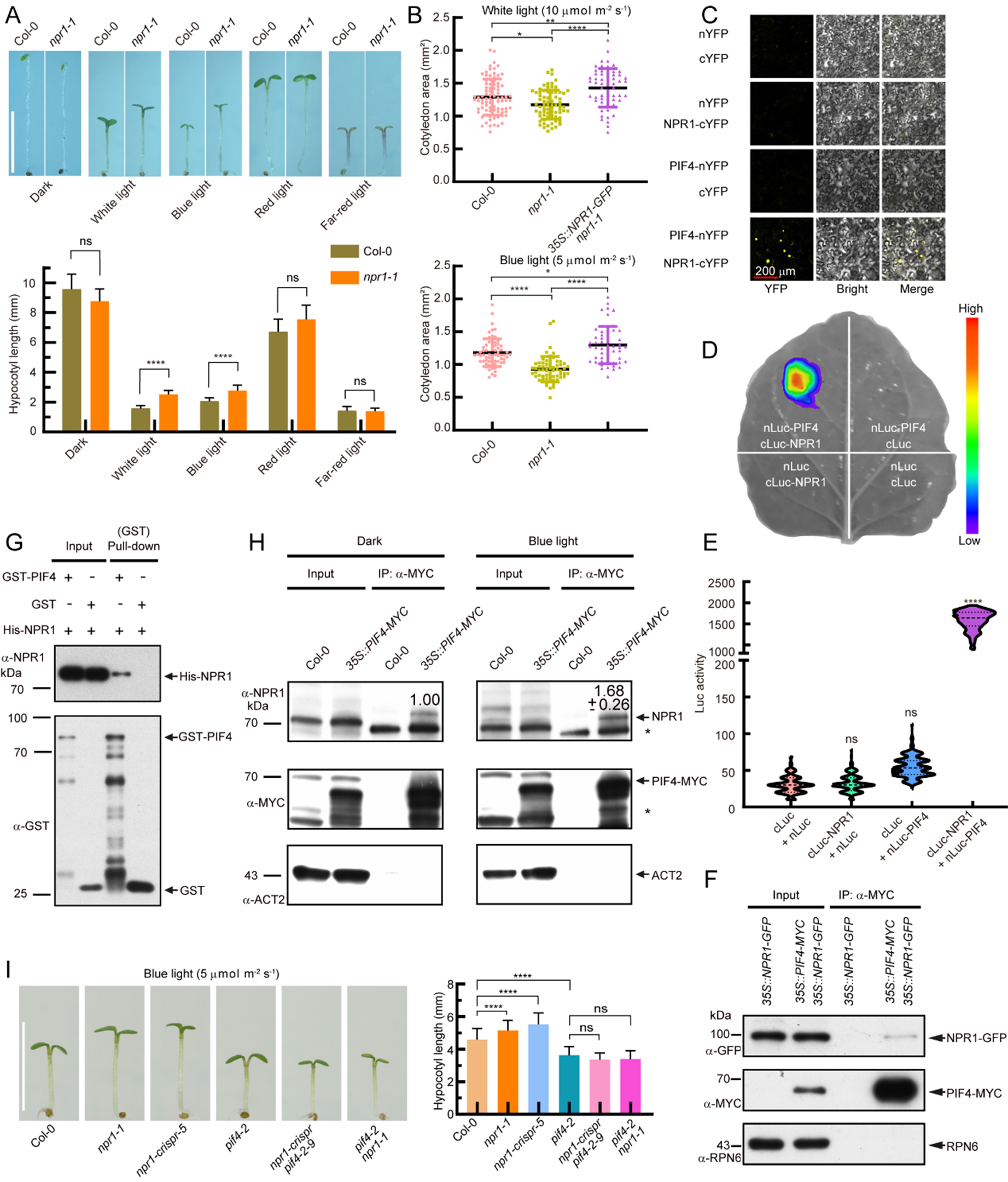 95a36ad9c96043e28d07617a503cd3d4.jpg 95a36ad9c96043e28d07617a503cd3d4.jpg